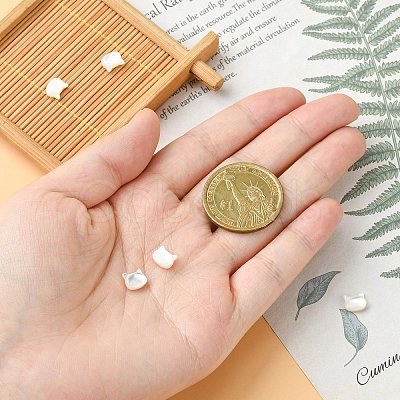 5Pcs Natural White Shell Beads BSHE-CJ0001-07-1
