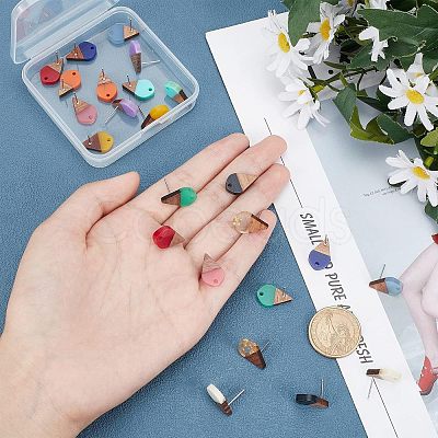 12 Pairs 12 Colors Transparent & Opaque Resin & Walnut Wood Stud Earring RESI-FH0001-42-1