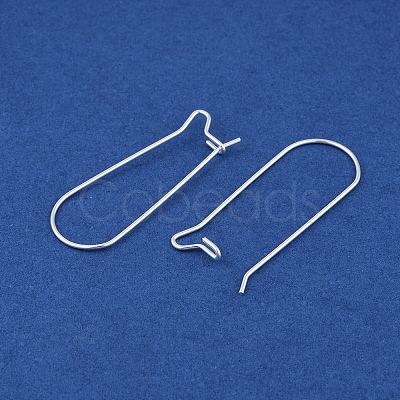 304 Stainless Steel Hoop Earring Findings LS-STAS-P223-01S-04-1