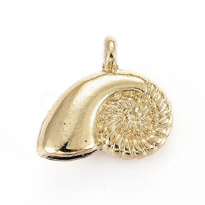 Alloy Pendants TIBEP-A040-055G-NR-1