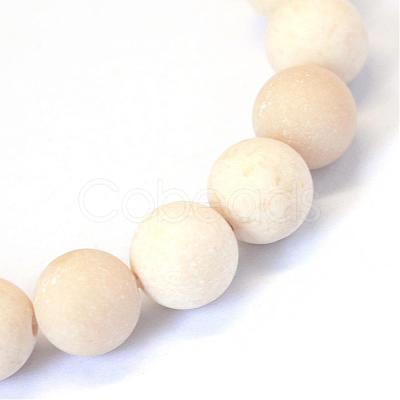 Frosted Natural Fossil Round Bead Strands G-E334-6mm-22-1