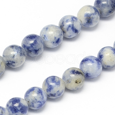 Natural Blue Spot Jasper Bead Strands X-G-R193-15-6mm-1