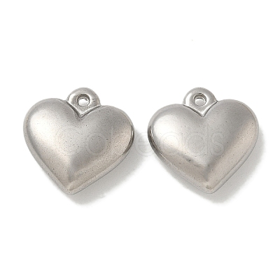 Anti-Tarnish 304 Stainless Steel Pendants STAS-Q334-21P-1