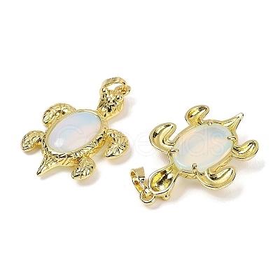 Opalite & Brass Pendants KK-F887-01G-03-1