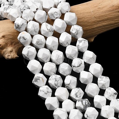 Natural Howlite Beads Strands G-Z119-A43-02-1