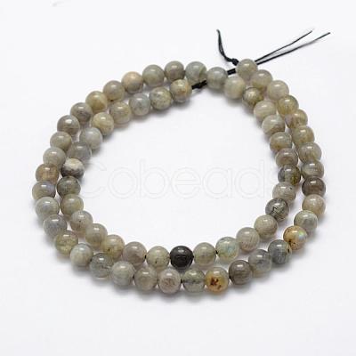 Natural Labradorite Beads Strands G-P322-33-6mm-1