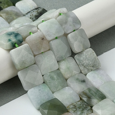 Natural Myanmar Jadeite Beads Strands G-A092-C01-03-1