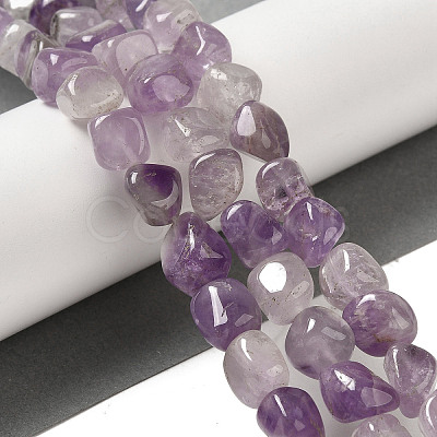 Natural Amethyst Beads Strands G-B078-D12-02-1