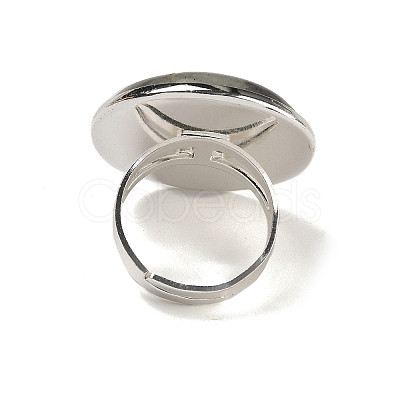 Natural Labradorite Round Adjustable Rings RJEW-K371-09S-15-1