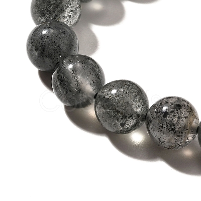 Natural Biotite Beads Strands G-F784-A03-03-1