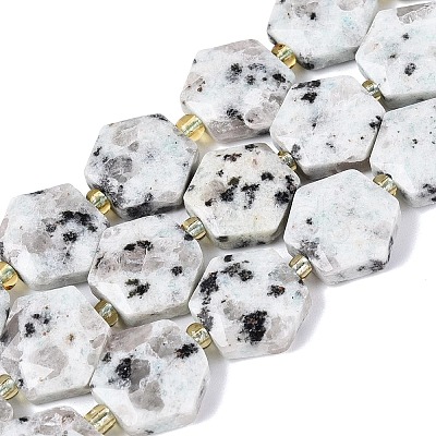 Natural Sesame Jasper Beads Strands G-N368-01A-19-1