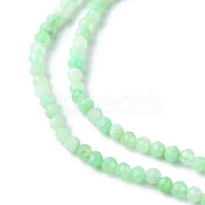 Natural Chrysoprase Beads Strands G-F748-X01-02A-1