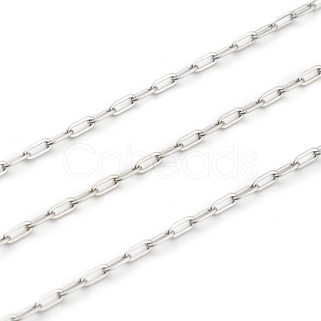 Non-Tarnish 3.28 Feet 304 Stainless Steel Paperclip Chains X-STAS-H111-03P-1