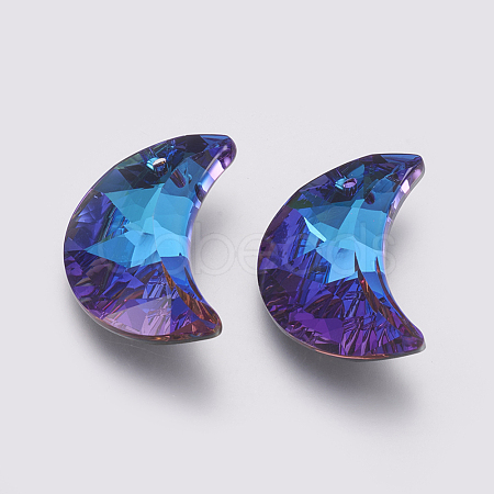 K9 Glass Rhinestone Pendants X-GLAA-K034-G04-1