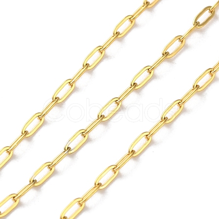 304 Stainless Steel Paperclip Chains CHS-R020-06G-01-1