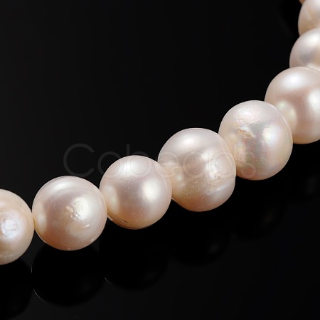 Natural Cultured Freshwater Pearl Beads Strands PEAR-E002-31-01-1