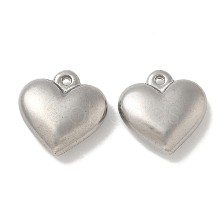 Anti-Tarnish 304 Stainless Steel Pendants STAS-Q334-21P-1