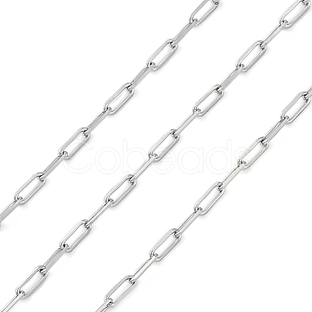 304 Stainless Steel Paperclip Chains CHS-M009-04P-02-1