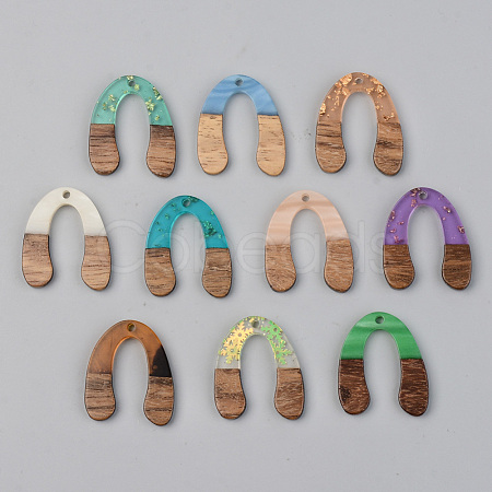 Resin & Walnut Wood Pendants RESI-S389-058B-1