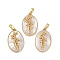 Rack Plating Brass Pave Shell Oval Pendants, Birth Flower Charms, Real 18K Gold Plated, Long-Lasting Plated, Lead Free & Cadmium Free, Seashell Color, 25.5x16x4.5~5.5mm, Hole: 5.5x3mm