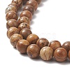 Natural Picture Jasper Round Bead Strands G-G-P070-55-8mm-5