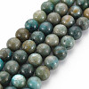Natural Chrysocolla Beads Strands G-S376-004A-1