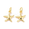 Brass Charms X-KK-G418-22G-1