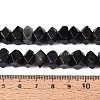 Natural Larvikite Beads Strands G-N327-05-28-5