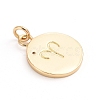 Brass Micro Pave Cubic Zirconia Pendants ZIRC-E164-34G-G-2