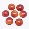 Natural Carnelian Cabochons G-P215-15-12mm-2