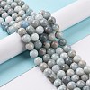 Natural Aquamarine Beads Strands G-F641-02-10mm-01A-4