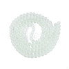 Baking Paint Transparent Glass Bead Strands GLAA-S031-12mm-29-4