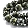 Natural Green Zebra Jasper Beads Strands G-O199-05C-3