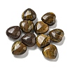 Natural Tiger Iron Beads G-P531-A25-01-1