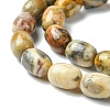 Barrel Shaped Gemstone Natural Crazy Lace Agate Beads Strands X-G-S114-08-5
