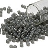 TOHO 6/0 Round Beads SEED-TR06-1150-1