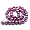 Polished Round Grade A Shell Pearl Bead Strands BSHE-M027-6mm-11-3