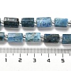 Natural Apatite Beads Strands G-N327-06-27-5