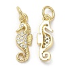 Brass Micro Pave Cubic Zirconia Pendants KK-Q775-04G-1