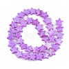 Freshwater Shell Beads Strands SHEL-S276-31E-2
