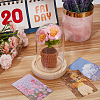 1 Set Glass Cloche Bell Jar Terrarium with 1Pc Handmade Knitting Crochet Artificial Lily of the Valley Potted DJEW-WR0001-01B-4