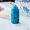 Point Tower Natural Apatite Home Display Decoration PW-WG91959-01-4