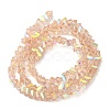 Transparent Glass Beads Strands EGLA-P061-04A-AB02-2