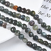 Natural Agate Beads Strands G-N326-100A-10-4