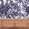 MIYUKI Delica Beads SEED-X0054-DB0464-4