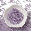 Glass Seed Beads SEED-H002-E-A1421-2