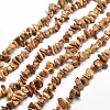Natural Picture Jasper Chip Bead Strands X-G-M205-31-1