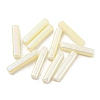 Electroplate Glass Beads GLAA-D024-01H-2