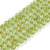 Natural Peridot Beads Strands G-K313-B01-02-1