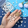 2 Strands Natural Freshwater Shell Beads Strands SSHEL-SC0001-36B-4